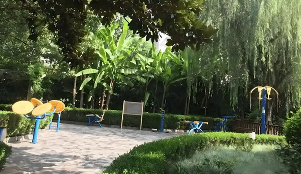 捡个落魄皇子：皇妃要造反