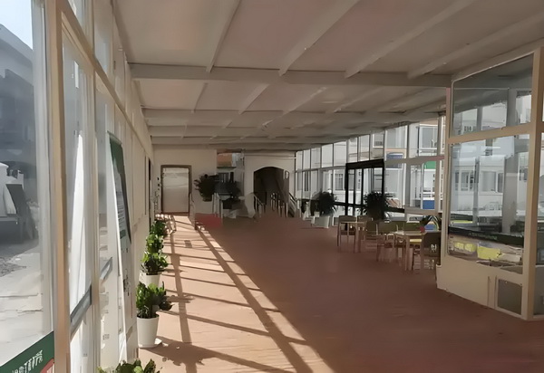 红楼元春之爱在有情天