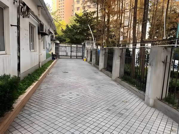 渡你成仙